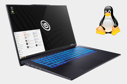 Image of laptop running Linux Mint XFCE, with Linux 'Penguin' Logo Image of laptop running Linux Mint XFCE, with Linux 'Penguin' Logo